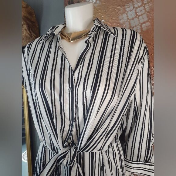 Zara Striped Black and White Women's Midi Dress - Picture 9 of 14